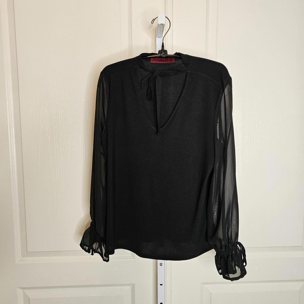 Love Scarlett Sheer Sleeve Black Blouse